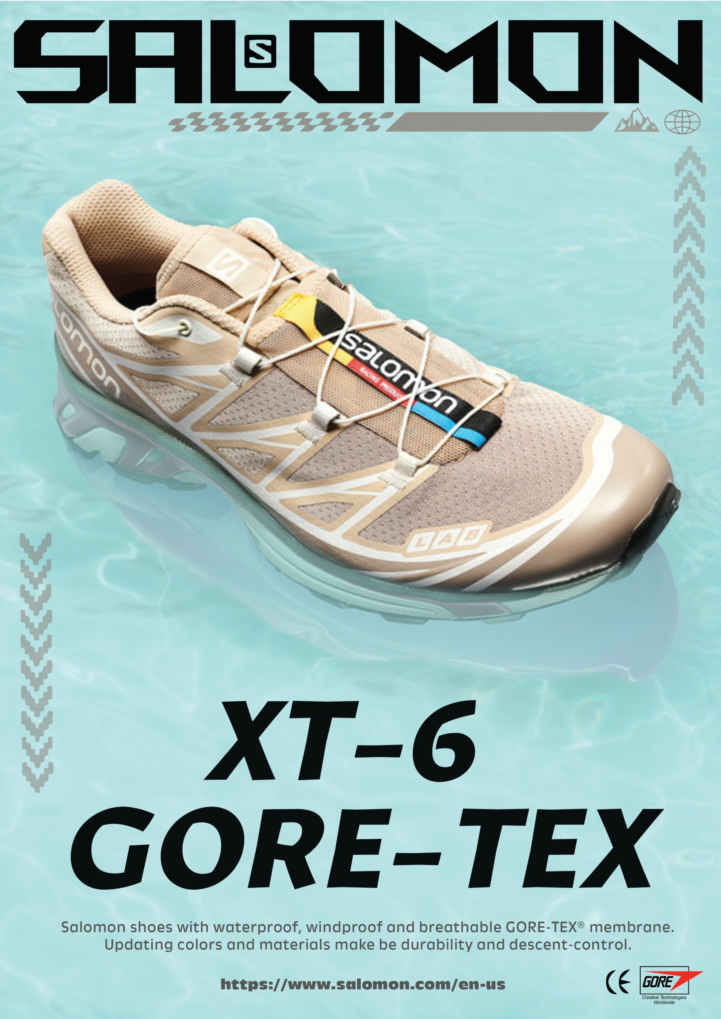 Salomon Poster